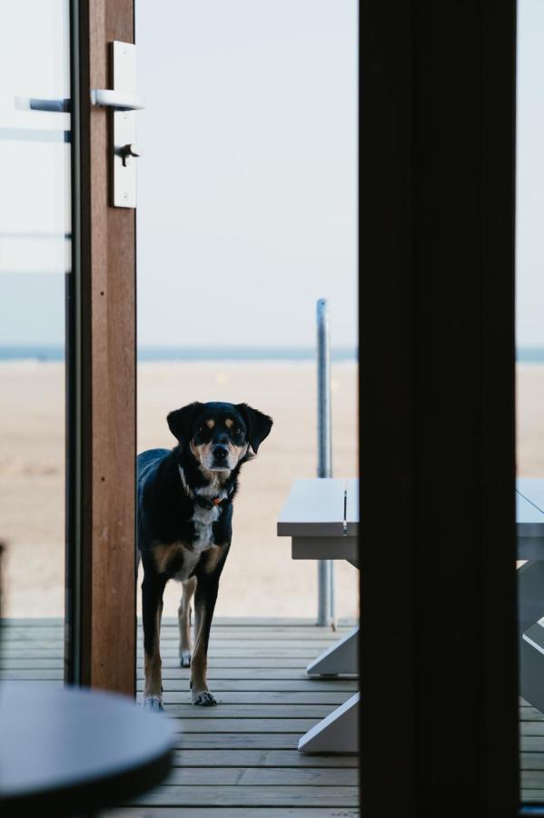 Breezand Beachhouses Vrouwenpolder Exterior foto